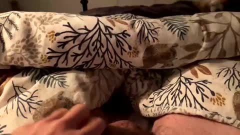 Snapshot of hot_for_you_ chatting on October 18, 12:59 am hot_for_you_ online show from October 18, 12:59 am