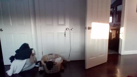 hotdog1124 online show from February 11, 12:31 pm