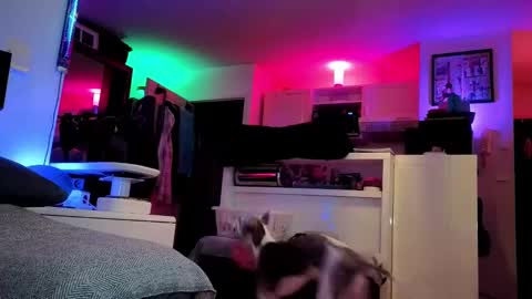 Hugo online show from February 25, 8:42 pm