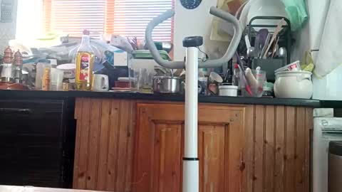 humiliationbucket online show from March 3, 10:11 am