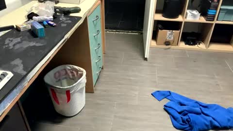 Peterr online show from February 20, 3:06 am