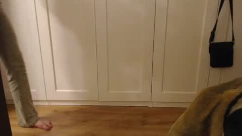 Ifk Donkeys online show from September 14, 6:09 pm