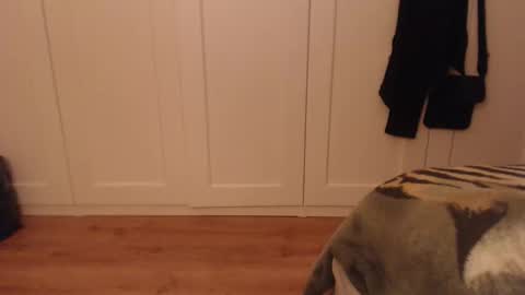 Ifk Donkeys online show from September 10, 5:14 pm