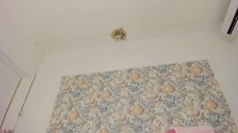 illegal_lorry online show from December 4, 6:35 am