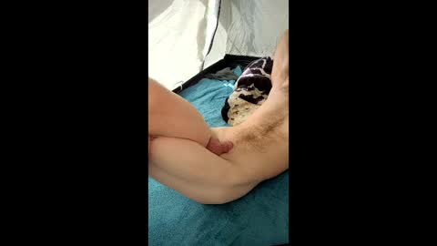 indecent_otter online show from April 8, 4:21 pm