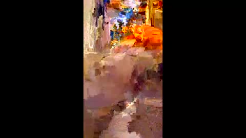 indegeniouscreature online show from December 14, 8:53 am