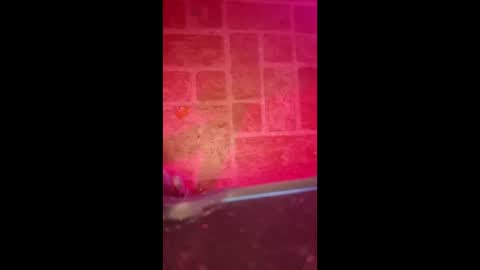 indegeniouscreature online show from January 9, 8:42 am