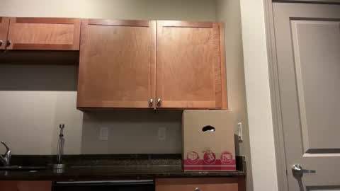 irissweets online show from April 10, 7:13 am