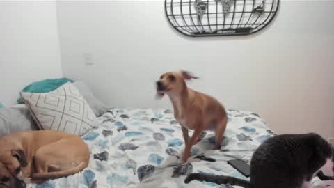 Isa online show from December 27, 5:52 am