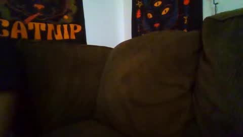 islandmaker online show from February 28, 3:32 am