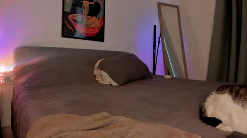 Isabella online show from April 5, 1:52 pm