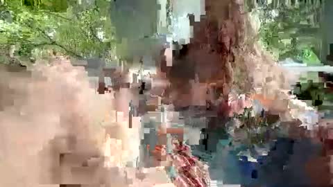 ivysagex online show from December 20, 3:57 am