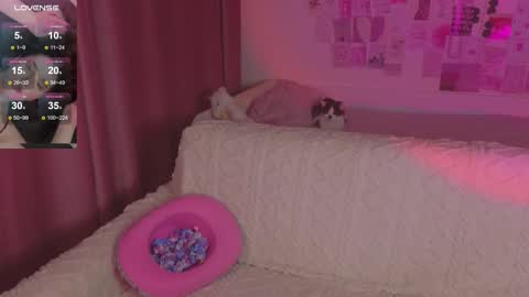 Daisy online show from October 15, 12:47 am