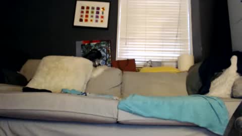 Jackie online show from October 31, 2:17 pm