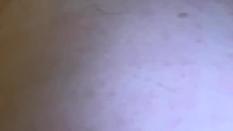 jackjackerman online show from November 15, 6:09 pm