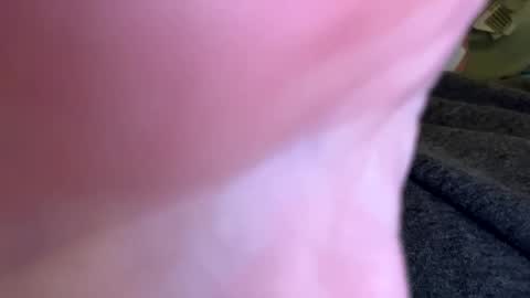 jackjackerman online show from April 15, 8:09 pm