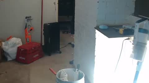 funtimes49203 online show from February 2, 1:30 pm