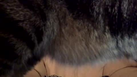 Jacob online show from April 14, 12:03 am