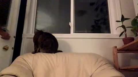 Snapshot of jacobmotes chatting on October 10, 2:28 am Jacob online show from October 10, 2:28 am