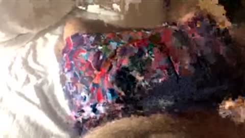 Jack online show from March 5, 4:54 am