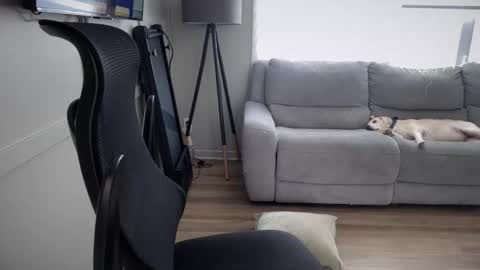 Jake online show from January 17, 7:12 pm