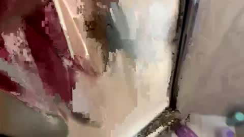 james613204 online show from April 26, 9:56 pm