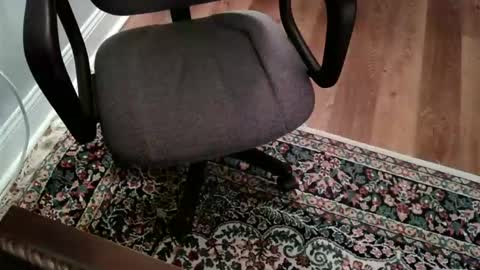 James Pembroke at your service online show from February 25, 6:55 pm