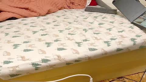 Bootyshows online show from September 25, 3:52 pm