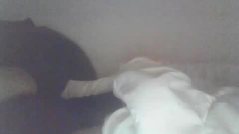 jan2003s online show from September 19, 3:54 am