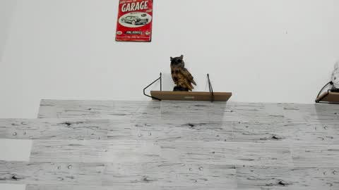 Jaycreedd online show from October 24, 5:08 am