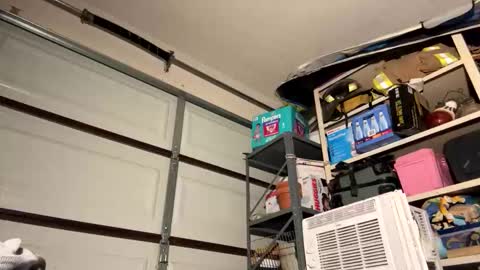 jdingo743817 online show from April 17, 11:01 am