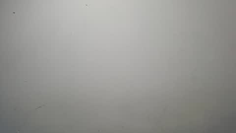 jeisonfit online show from October 13, 1:51 am