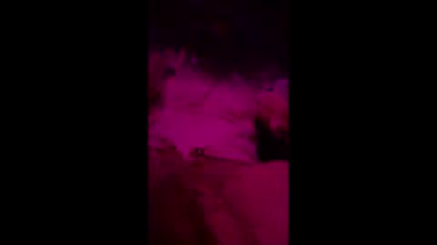 jerkinboi online show from March 15, 4:54 pm