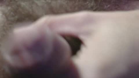jerkingtyce online show from May 3, 3:12 am