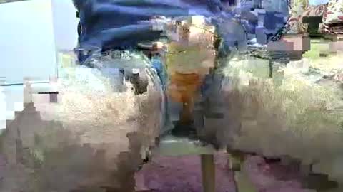 jimii281 online show from March 28, 5:58 pm