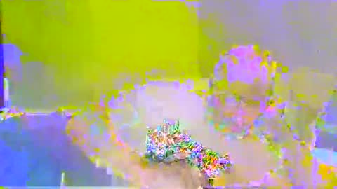 jimmielove47 online show from April 18, 9:44 am