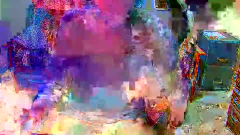 Jimmy online show from March 5, 12:58 pm