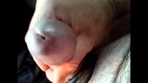 jjbanks5721928 online show from April 28, 7:01 am