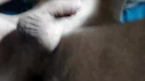 Snapshot of jjj963733 chatting on October 12, 7:49 pm jjj963733 online show from October 12, 7:49 pm