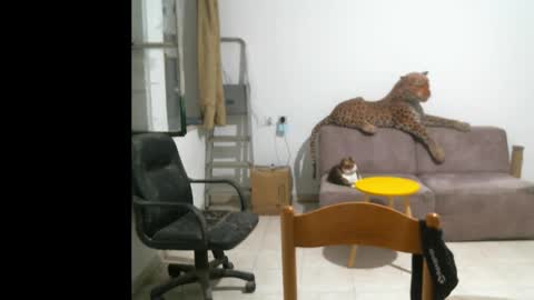 Snapshot of jlmbud chatting on October 17, 11:31 pm jlmbud online show from October 17, 11:31 pm