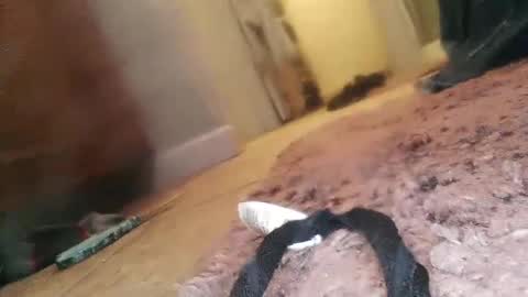 Jimmy online show from February 23, 1:57 am