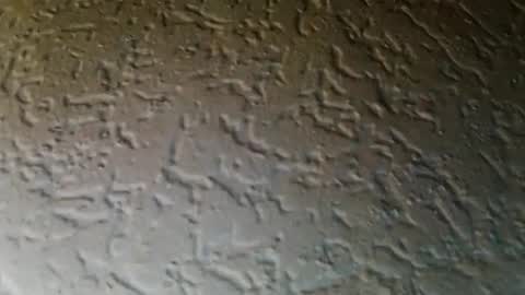 jojo811301 online show from January 9, 6:52 am