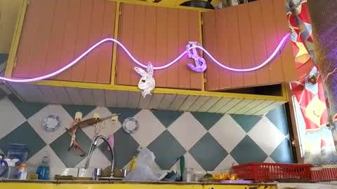 Jony Marta GMT 2000-0100 every day online show from November 25, 3:00 pm