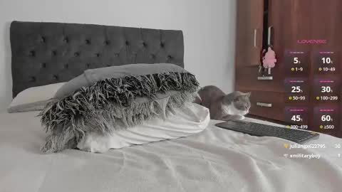 Will online show from February 25, 11:52 pm