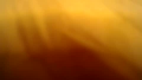 Josy online show from October 5, 6:00 am