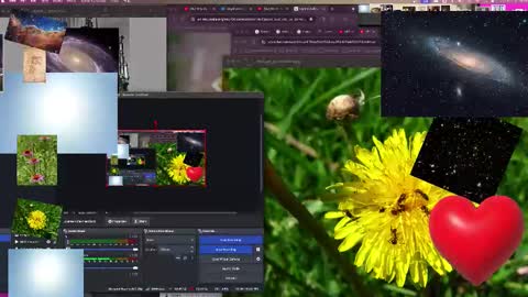 JP Sunflower Angel Love online show from October 13, 9:11 am