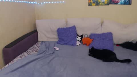 Jul online show from September 24, 3:41 pm