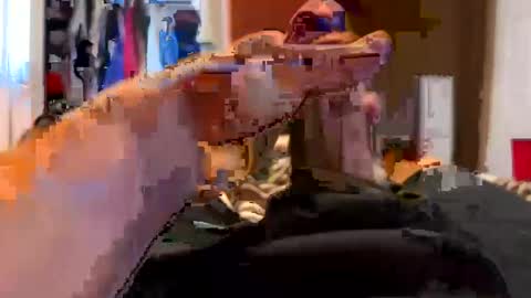 jussumwun online show from January 1, 3:03 pm