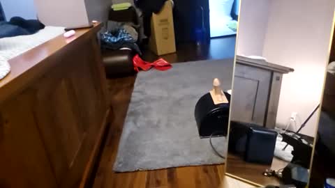 Tohiptwoquit online show from January 9, 7:47 am