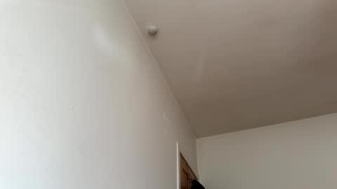 Billie  B  William online show from March 30, 9:09 am